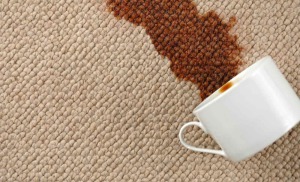 Coffee stain removal Glasgow carpet cleaning www.albafloorcare.co.uk