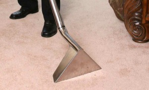 Eco friendly carpet cleaning glasgow. www.albafloorcare.co.uk Carpet cleaner Glasgow, deep clean upholstery cleaning company