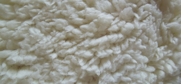 Wool carpet care – how to maintain a wool carpet